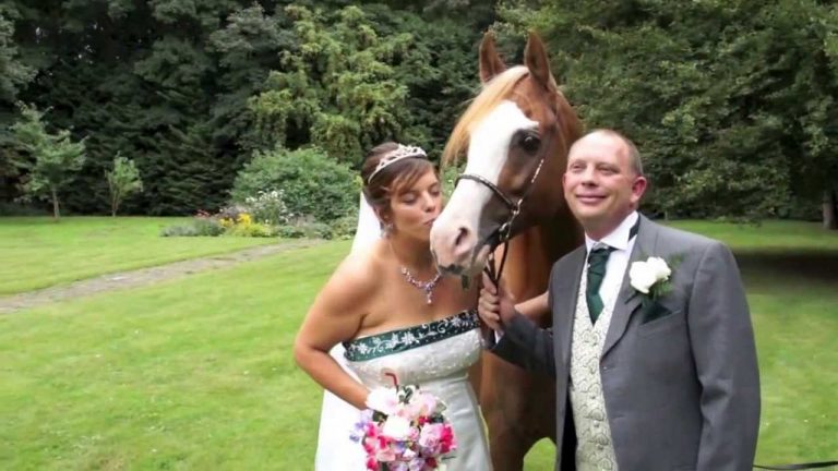 Rebecca and Peter’s Wedding
