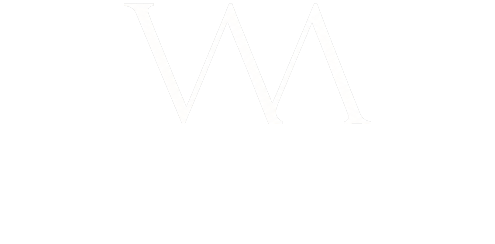 Visible Memories